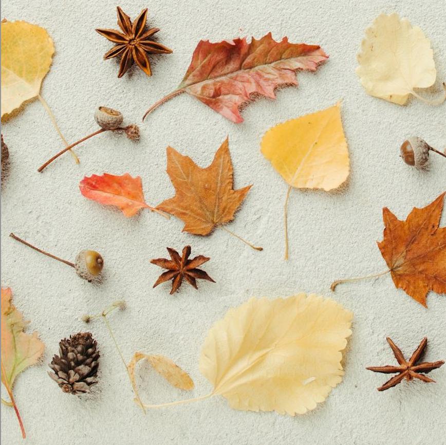 Autumn Fall color fashion trend